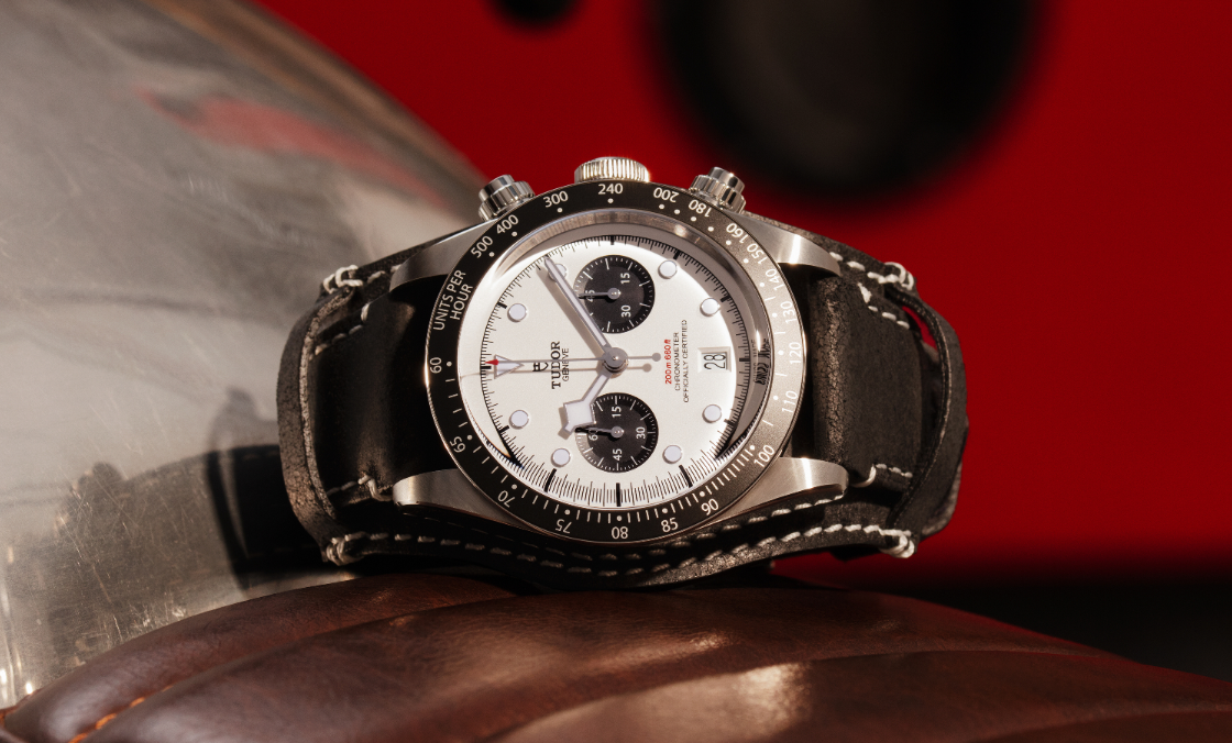 TUDOR - BLACK BAY - M79360N-0008 - 熊貓外送金包銀｜TUDOR帝舵2021新錶全攻略