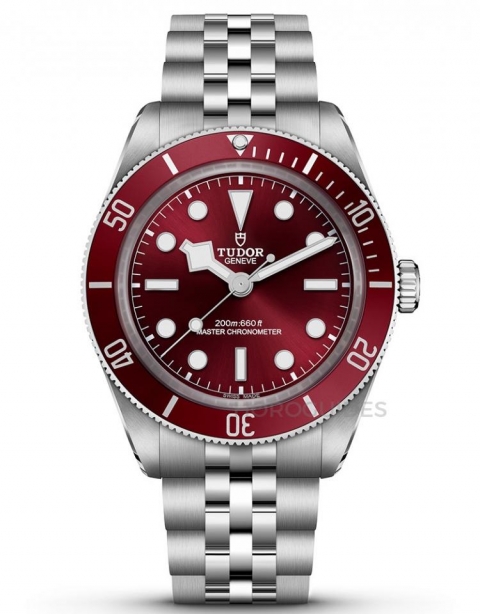 TUDOR - BLACK BAY - M79363N-0001 - TUDOR 2026 年價格更新，Black Bay、Pelagos 有咩變化？一文睇清