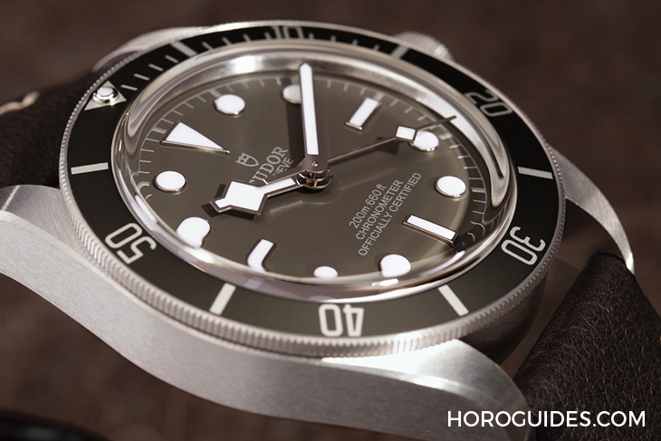 TUDOR - BLACK BAY - M79360N-0008 - 熊貓外送金包銀|TUDOR帝舵2021新錶全攻略