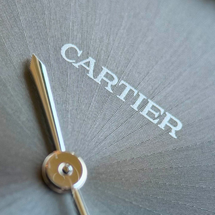 CARTIER - TANK - WGTA0303 - 衝動,還是理性?藏家Felicity最愛的新收藏|HOROGUIDES雜誌Vol.10 特別企劃