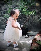楊家瑞
