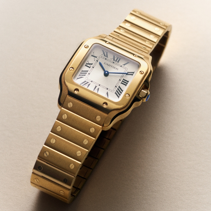 CARTIER - SANTOS DE CARITER - WSSA0082 - 百變優雅「紳」貌 | Santos de Cartier全新小型款，突破尺寸界限