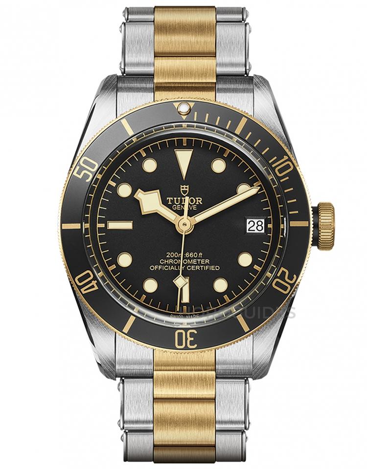 TUDOR 帝舵表 - BLACK BAY系列 - M79733N-0008