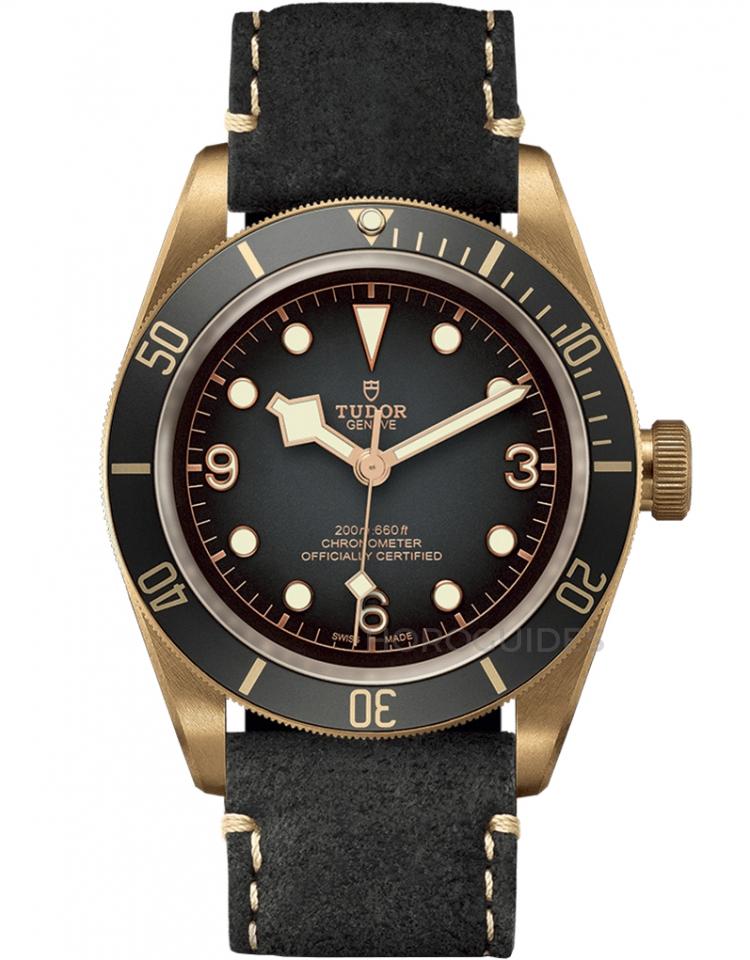 TUDOR 帝舵表 - BLACK BAY系列 - M79250BA-0001