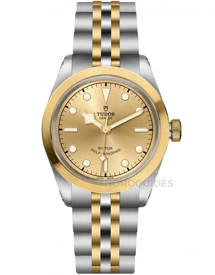 TUDOR 帝舵表 - BLACK BAY系列 - M79583-0002