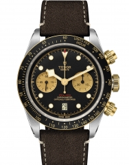 TUDOR 帝舵表 BLACK BAY BLACK BAY CHRONO S&G
