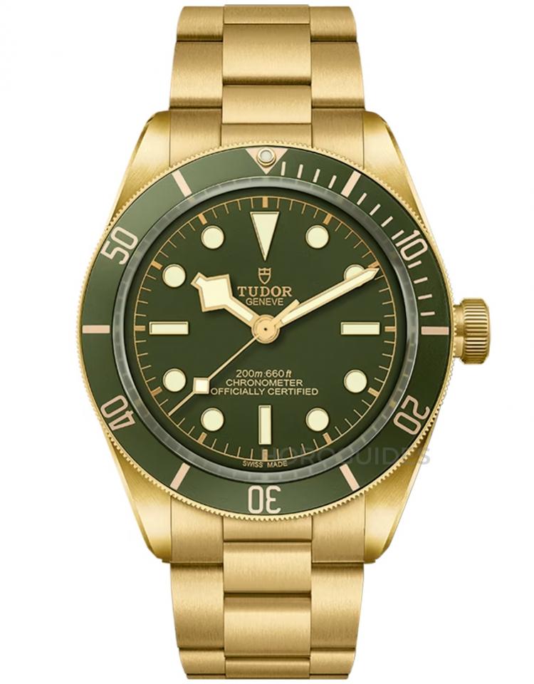 TUDOR 帝舵表 - BLACK BAY系列 - M79018V-0006