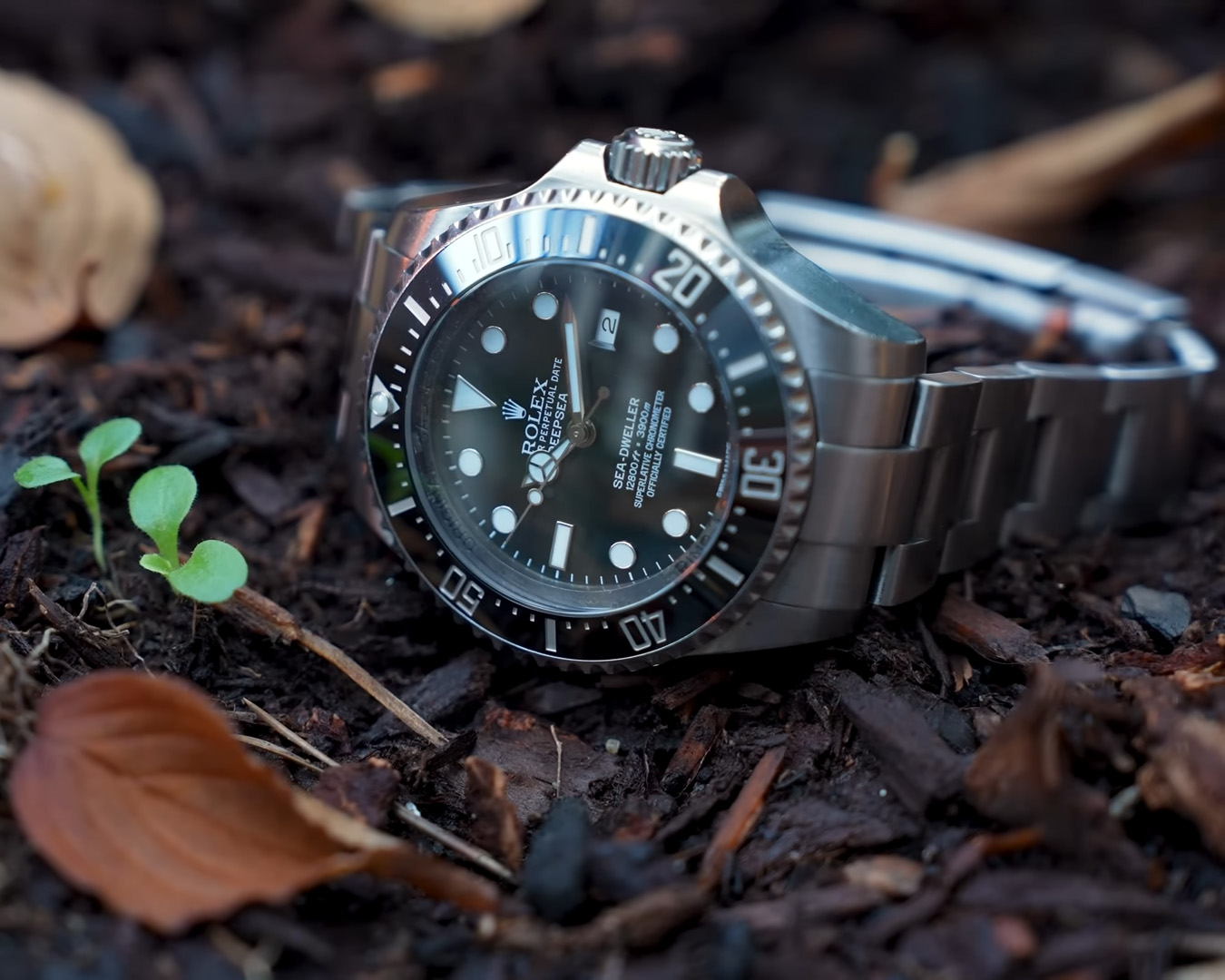 ROLEX - SEA-DWELLER - 126660-0001 - 勞迷必看:一只Deepsea從野火殘骸到完整修復的真實紀錄