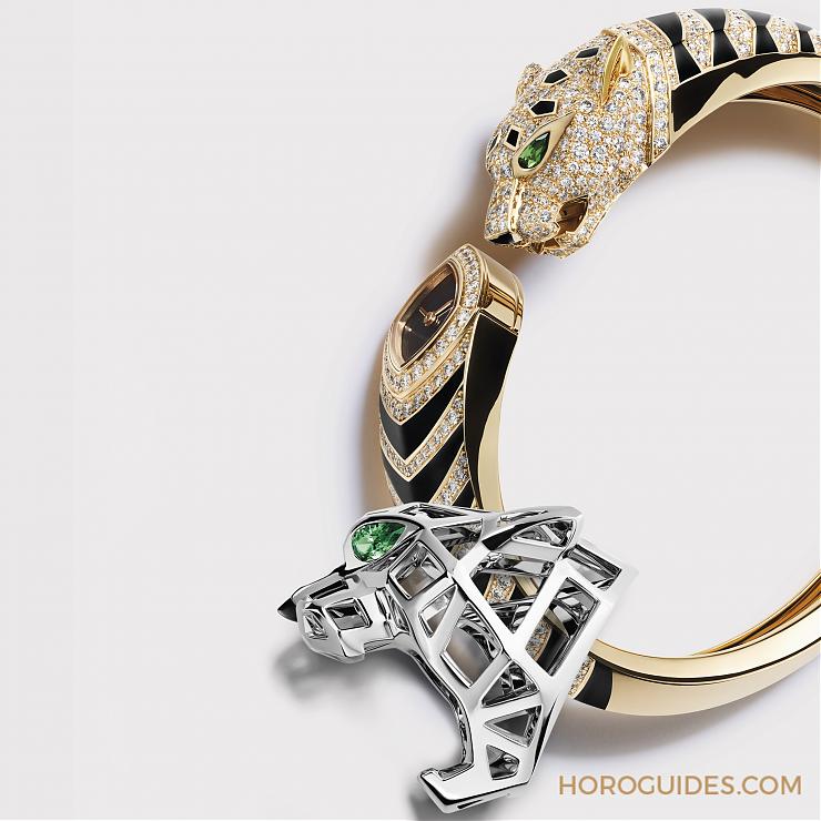 CARTIER - PANTHERE DE CARTIER - WGPN0016 - 豹影迷蹤：一段馭野性為風範的美學史－卡地亞美洲豹