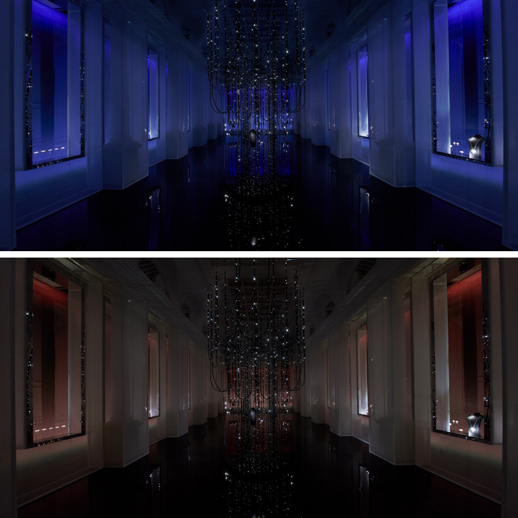 CHANEL - 為妳打造一對能夠摘星的翅膀|CHANEL《Reach For The Stars》頂級珠寶系列