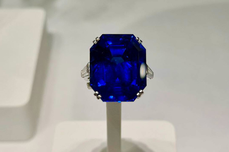 VAN CLEEF & ARPELS - 燕尾翹脊下, 梵克雅寶經典薈萃|Signature高級珠寶鑑賞活動