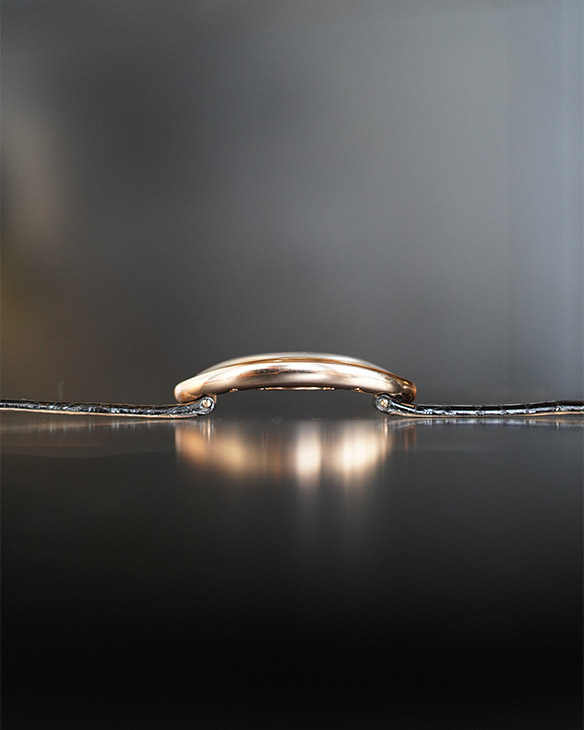 CARTIER - BAIGNOIRE - WGBA0018 - 藏家Mervin Ling的年度最愛|HOROGUIDES雜誌Vol.9特別企劃