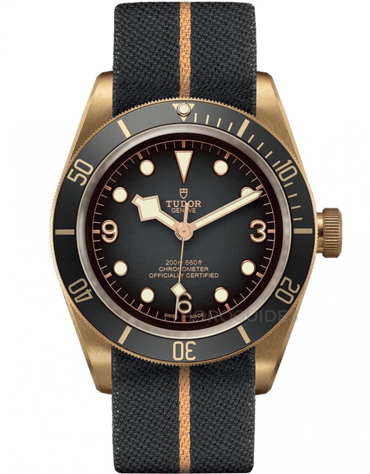 TUDOR 帝舵表 - BLACK BAY系列 - M79250BA-0002