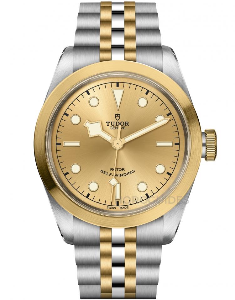 TUDOR 帝舵表 - BLACK BAY系列 - M79503-0002