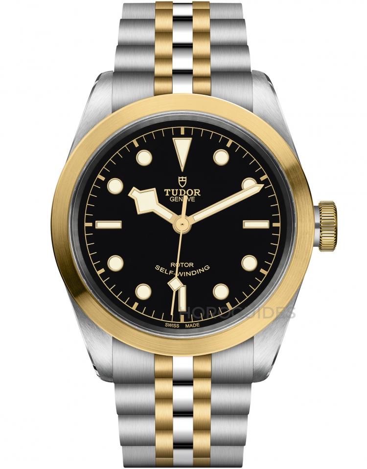 TUDOR 帝舵表 - BLACK BAY系列 - M79503-0001