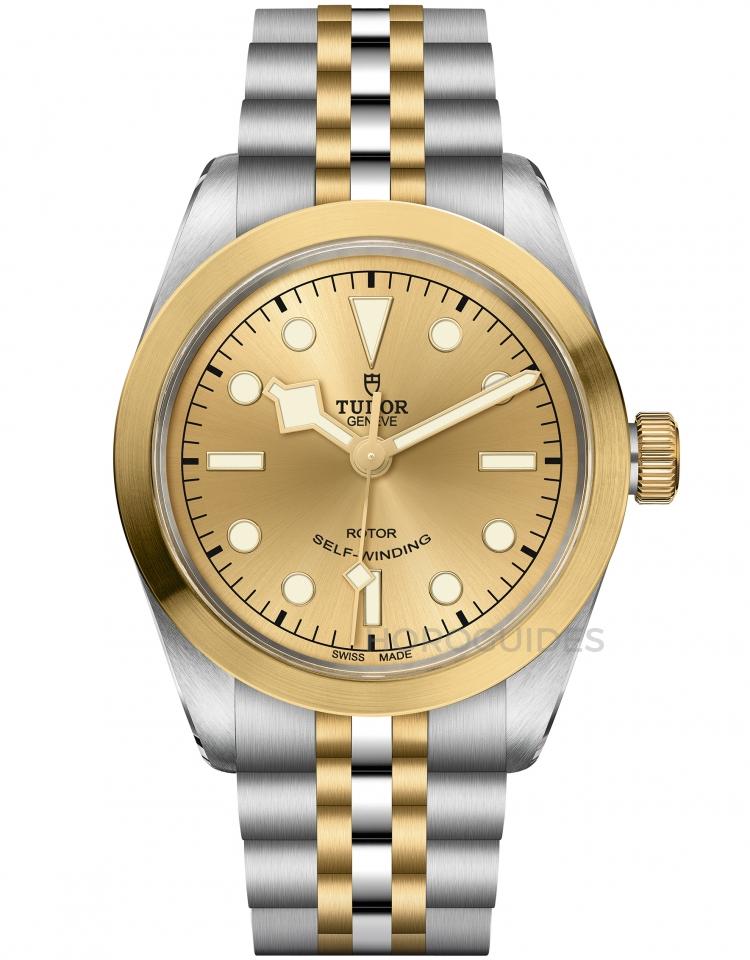 TUDOR 帝舵表 - BLACK BAY系列 - M79543-0002